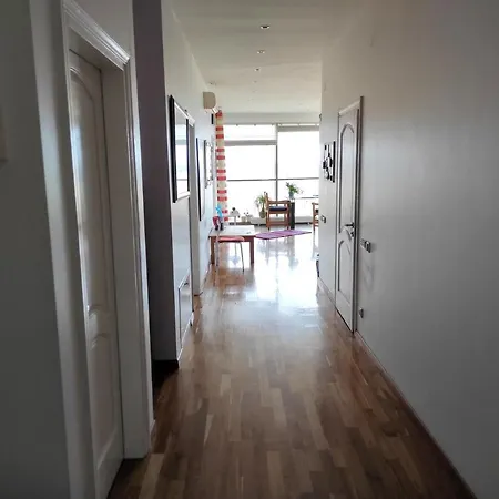 Luxury In Skyscraper Apartment *